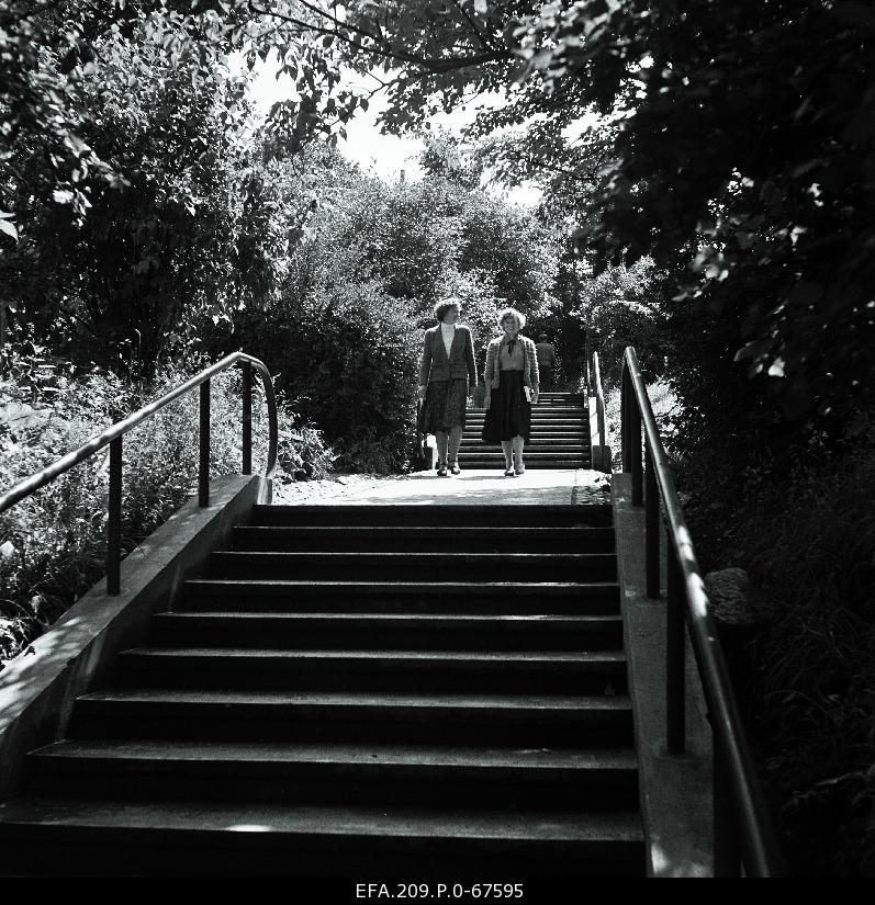 Vallikraavi staircase on Tiigi Street.