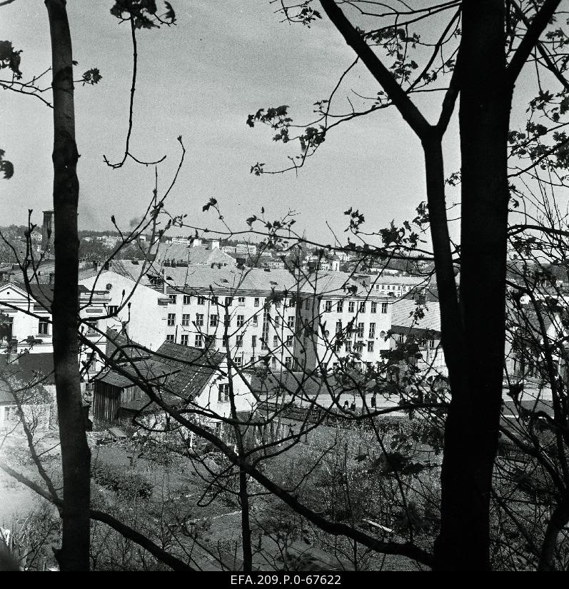 View from Toomemägi to the city.