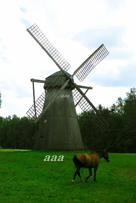 Kalma tuulik rephoto