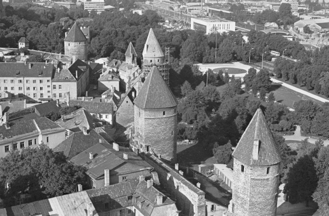 Old Tallinn. Tallinn towers and roofs.