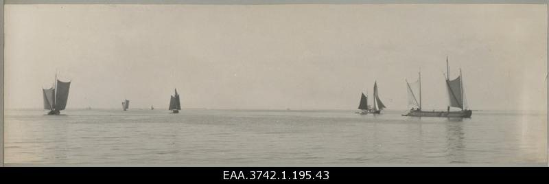 Stettini Gulf (Zalew Szczecinski, Oderhaff). View of sailing in the Gulf