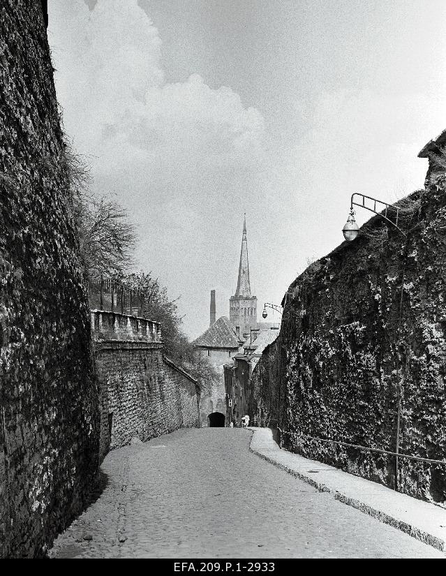 View to the Tower of the Oleviste Church from Pikast Foot.