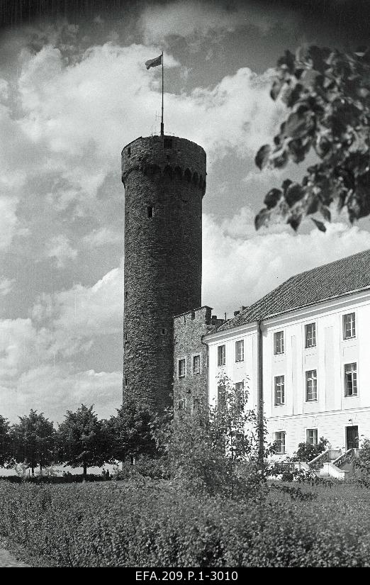 Long Hermann.