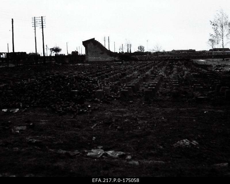 Destroyed crop warehouses.