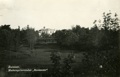 Roomassaare mudaravila  duplicate photo