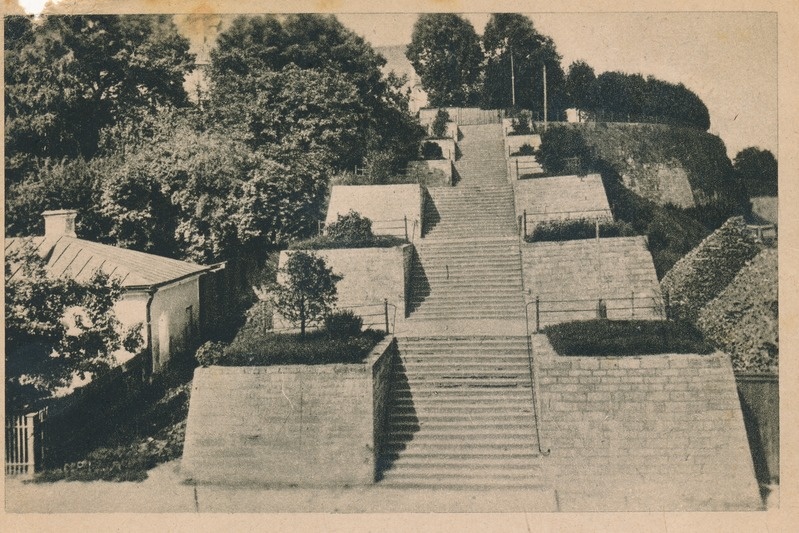 Narva