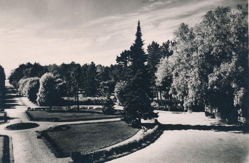 Narva-Jõesuu