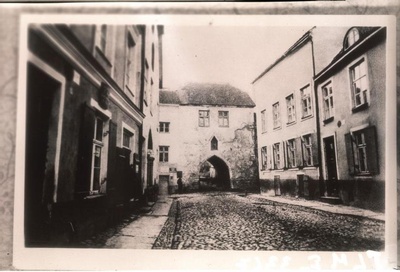 Tallinn, Harjuvärav umbes 1860. aastal.  duplicate photo