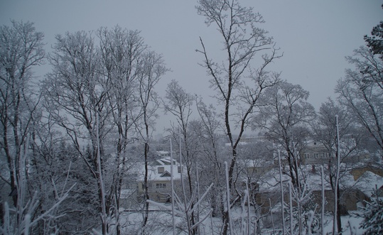 Rakvere, view from Vallime to the city rephoto