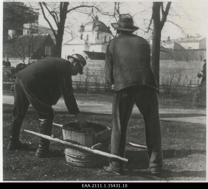 Work in Tartu parks and lawn areas in spring 1936