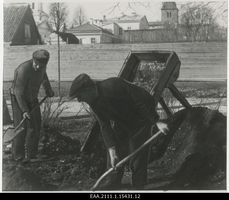 Work in Tartu parks and lawn areas in spring 1936