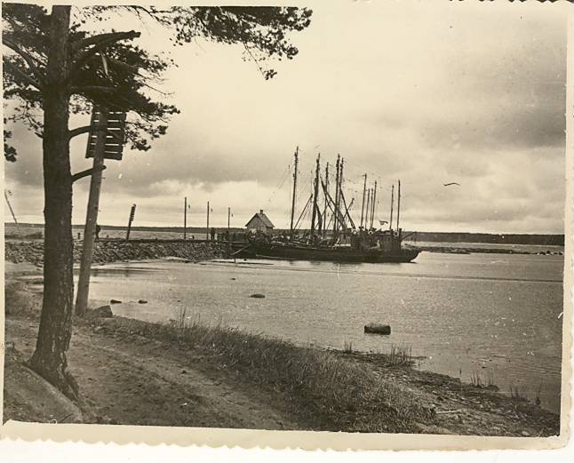 Vergi fishing port