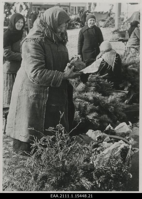 Sale of plants in Tartu market