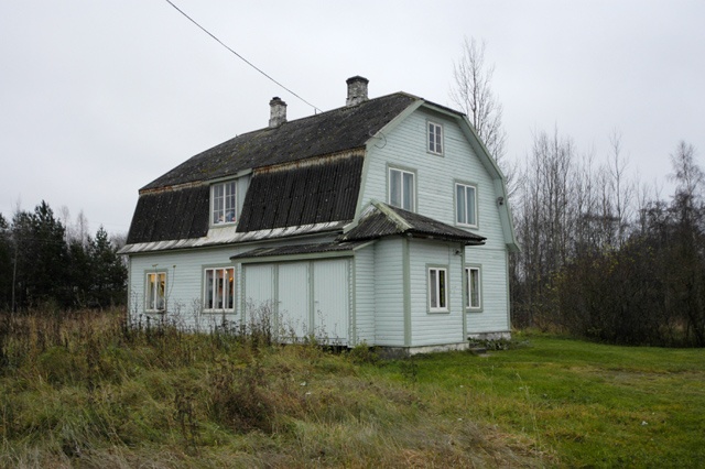 A lonely creep in the village of Vergi Haljala khk.
