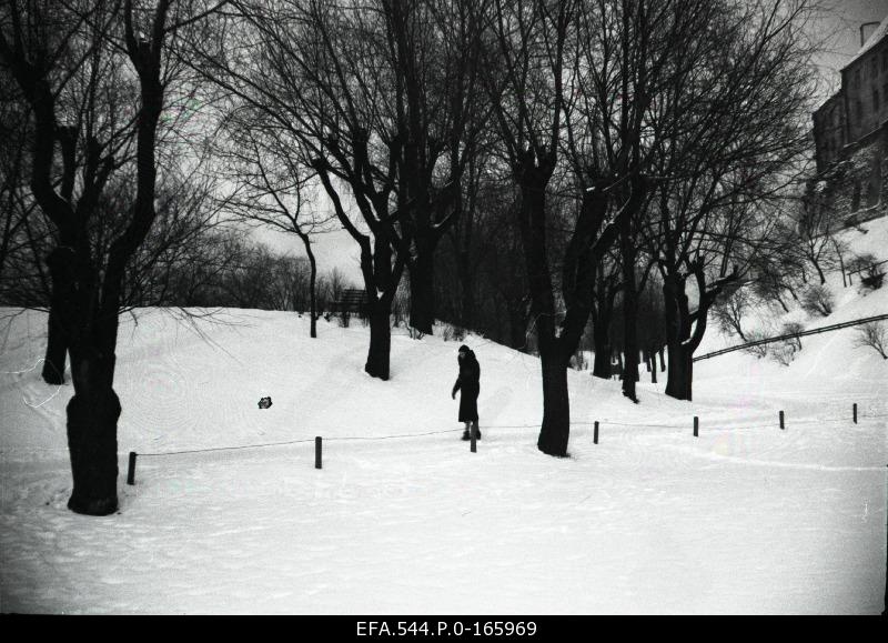 Park Toompea on the hill.