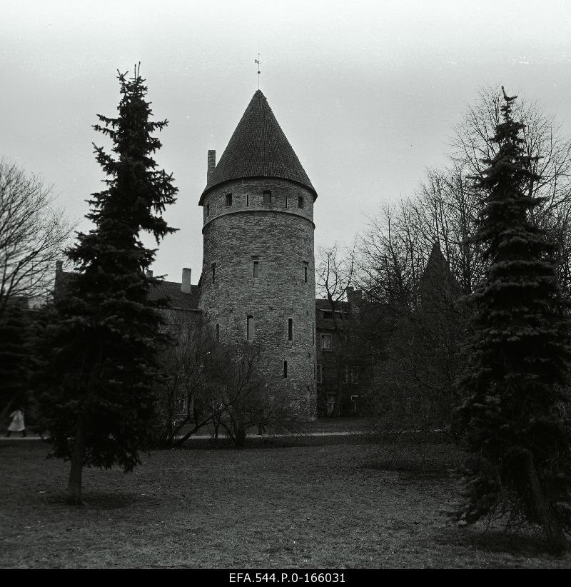 Tallinn City Wall.