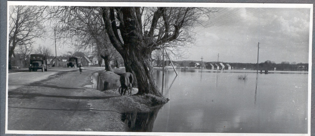 Foto Suurvesi 1956.a. kevadel Kreutzwaldi tänaval. Foto Hillar Uusi.