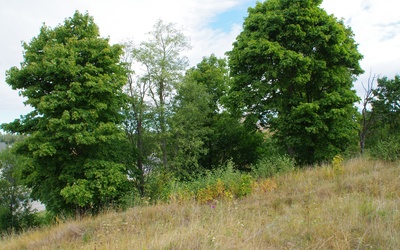 Rakvere linnus rephoto