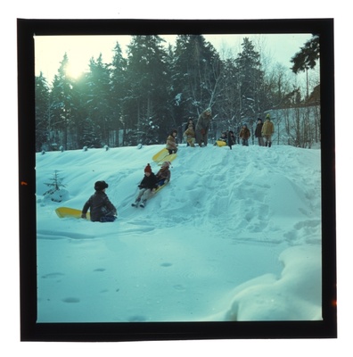 foto  similar photo