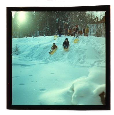 foto  similar photo