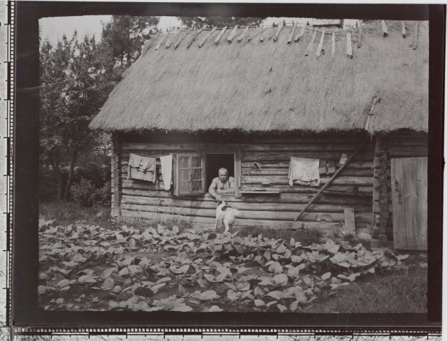 Sadulsepa sauna talu peremees, koer ja tubakapõld
