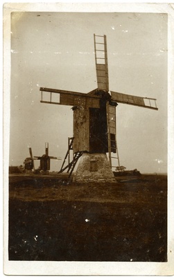 Saaremaa maastik kolme tuulikuga  duplicate photo