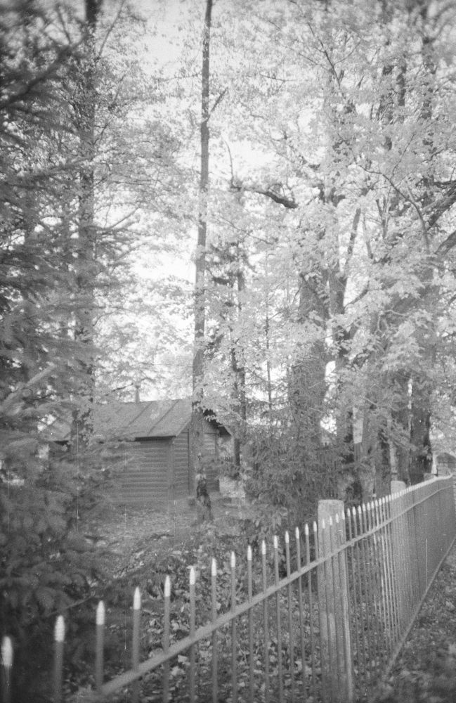 Püha tamm Pühtitsa õigeusu kloostri kalmistul Kuremäel