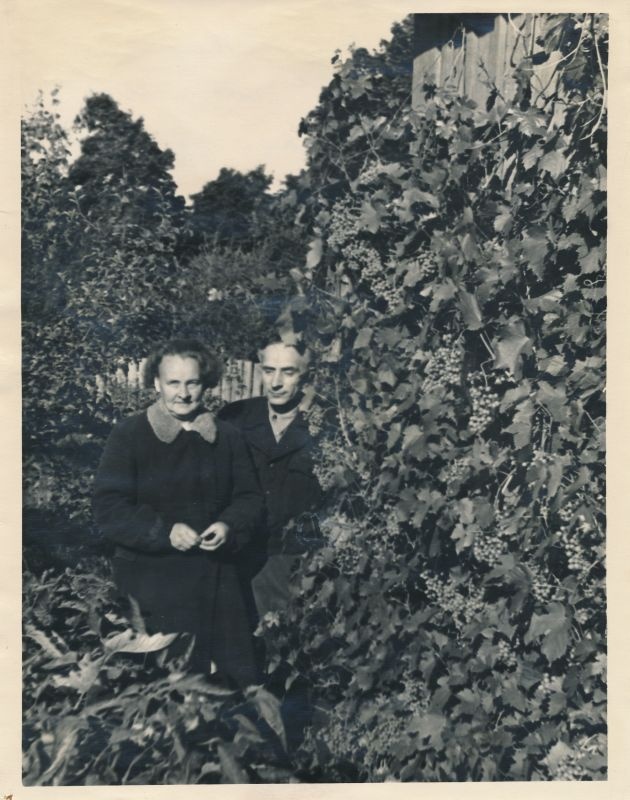 Foto. Juuli Martinson koduaias viinapuu taustal. 1949.