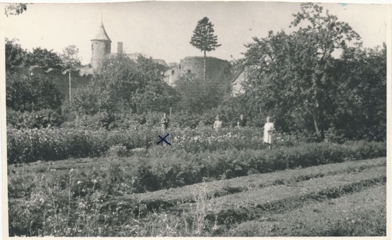 Foto. Juuli Martinsoni kogu. Haapsalu linnaaed Krahviaias, 1947.Tagaplaanil Juuli Martinson.