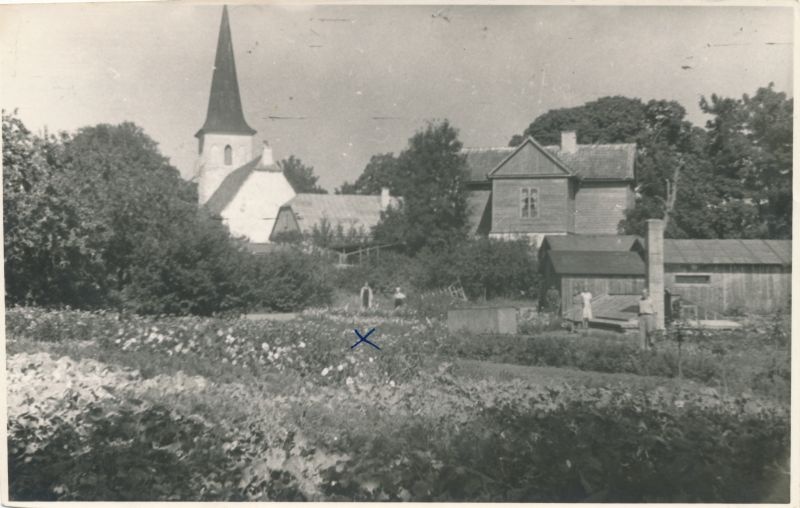 Foto. Juuli Martinsoni kogu. Haapsalu linnaaed. Vaade Jaani kiriku suunas. Tagaplaanil Juuli Martinson. 1947.