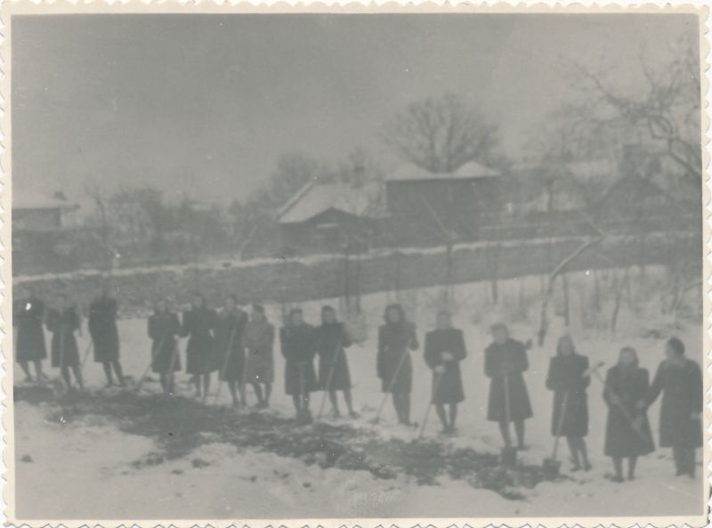 Foto. Juuli Martinsoni kogu. Haapsalu Õpetajate Seminari õpilased õppeaias õunapuukooli asutamas. 26. dets 1949.