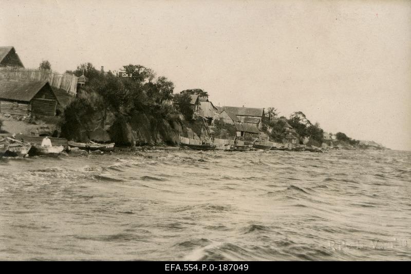 The coast of Peipsi during the large water on Kallastel.