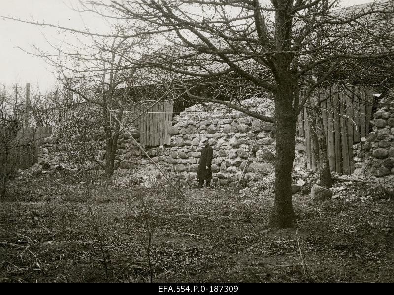 The old house has broken the stone wall.