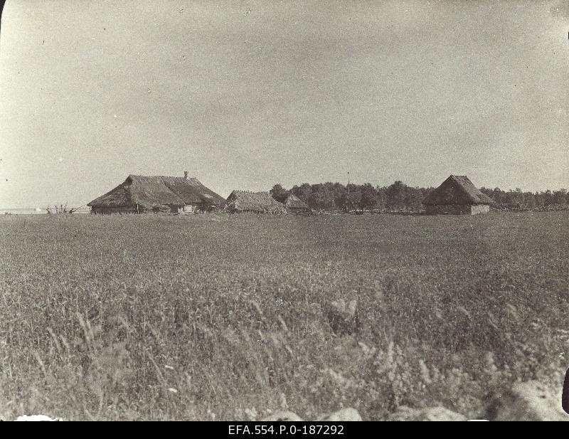 Farm view.