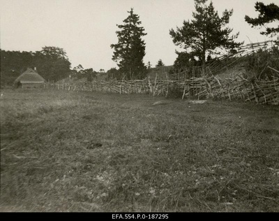 Farm pasture.  duplicate photo
