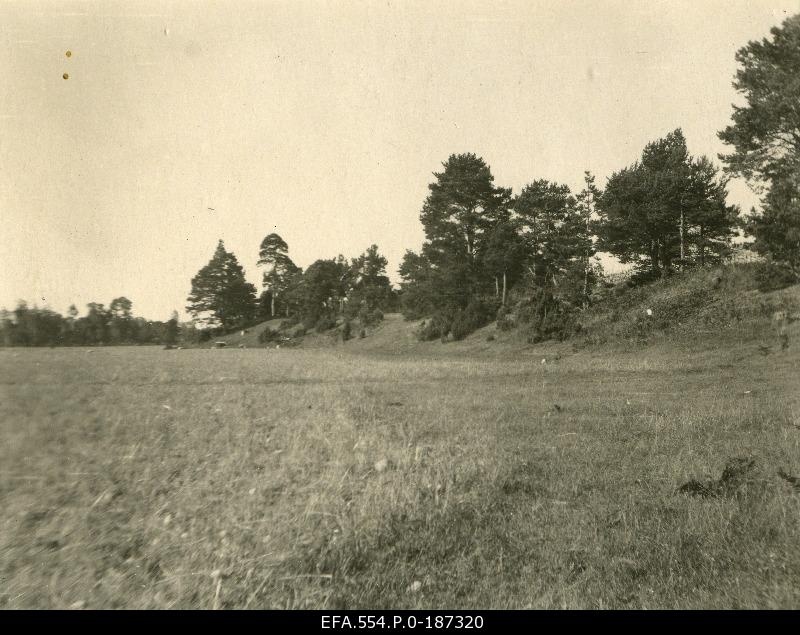 Künkanõlv puudega.