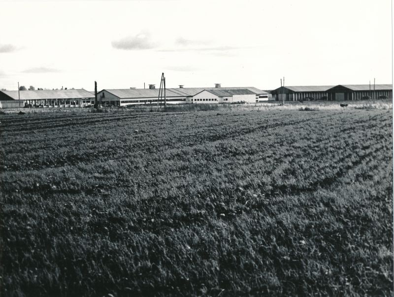 Photo. Kirbla large farm in Läänemaa. 1981.