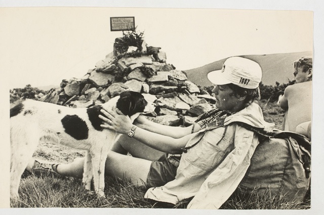 Karpaatide mägimatk, kohtumine koeraga