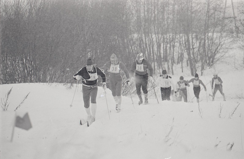 Suusamaraton Tallinn-Keila-Tallinn