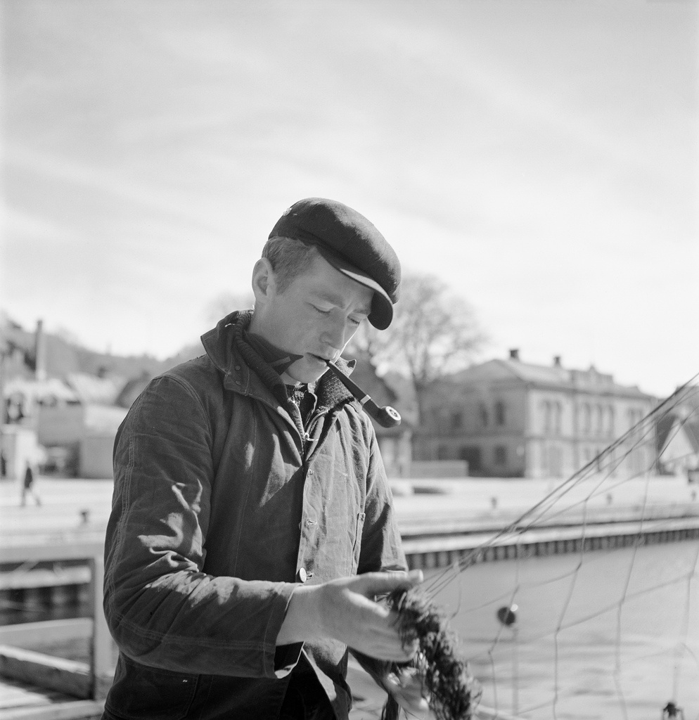 Fisherman in Visby harbour, Gotland, Sweden