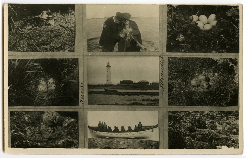 9 motiivist koosnev foto, millel on kujutatud linnud, linnupesad, Vilsandi tuletorn, linnu rõngastamine, päästepaat