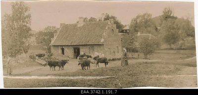 The brick stone of the manor of Pilkus. At the forefront of the cattle and two female bears  duplicate photo
