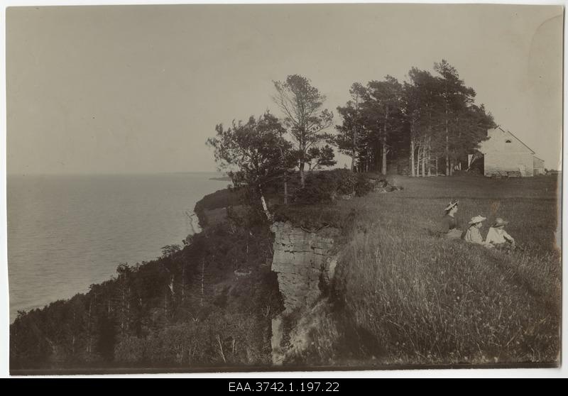 Family of Raehlmanns children on the seaside bank during the summer