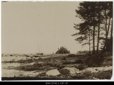 Travelling on the coast of northern Estonia  duplicate photo