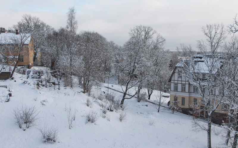 fotopostkaart, Viljandi, Pikk tn 33, G. Rosenberg'i maja, kasvuhooned (Tarik'u, hiljem Kontus'e ja siis Asu aiand), linna majad, u 1915, talv, foto J. Riet rephoto
