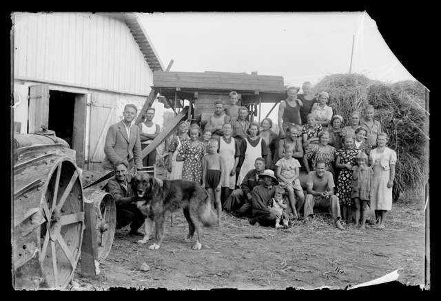 Rehelised, koer ja rehepeksumasin