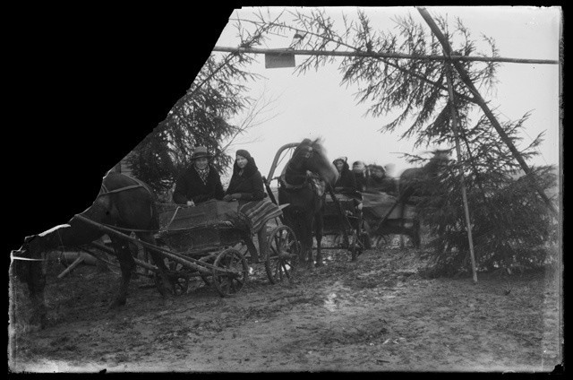 Hobuvankrid läbimas kuuskedest väravat (pulmavärav ?)