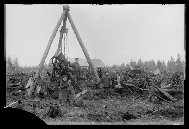 Kännujuurimise masin