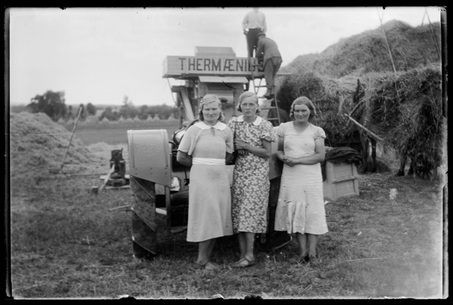 Naised rehepeksumasina juures