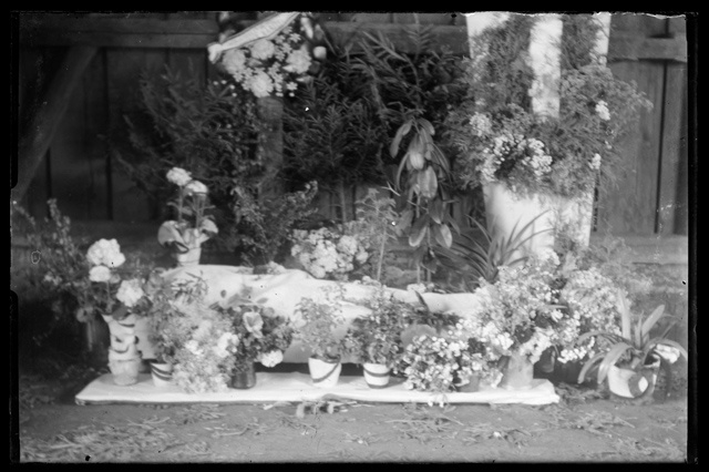 Matused - kadunuke kirstus